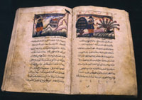 المخطوطات العربي