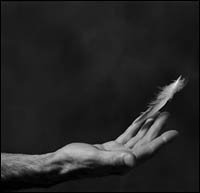 قصيدة النثر تذهب الي النثر المحض