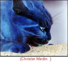 Christer Medin  